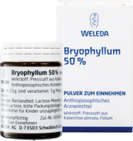 BRYOPHYLLUM 50% Pulver zum Einnehmen