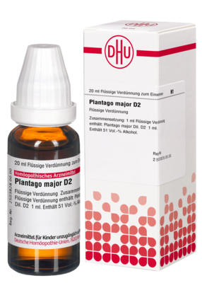 PLANTAGO MAJOR D 2 Dilution