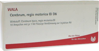 CEREBRUM REGIO motorica GL D 6 Ampullen