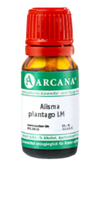 ALISMA plantago LM 21 Dilution