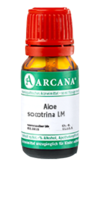 ALOE SOCOTRINA LM 11 Dilution