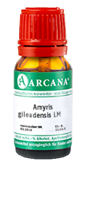 AMYRIS gileadensis LM 36 Dilution