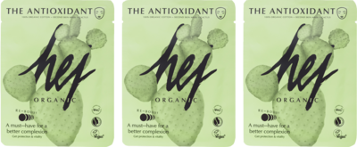 THE ANTIOXIDANT Set Cactus Gesichtsmaske