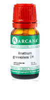 ANETHUM graveolens LM 9 Dilution
